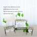 Vintage Style Glass Hydroponic Flower Vase Plant Pot Terrarium Container Decor   273030222345
